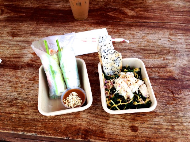 Veggie spring roll and kale salad