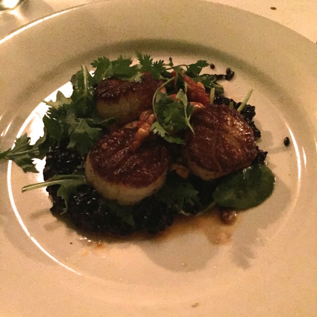 Scallops