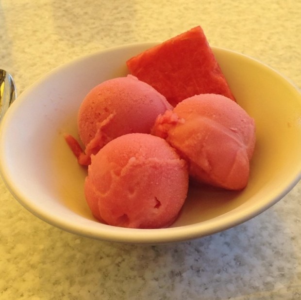 Watermelon sorbet 