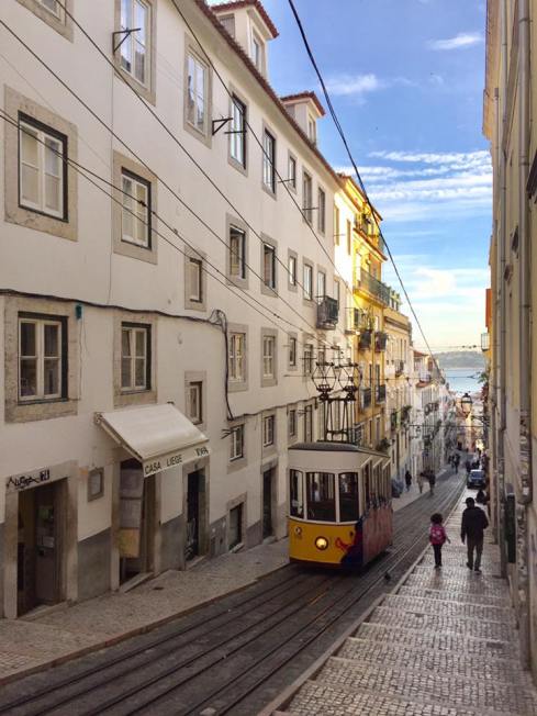 17757455_10210411445099849_5596941388987857716_n