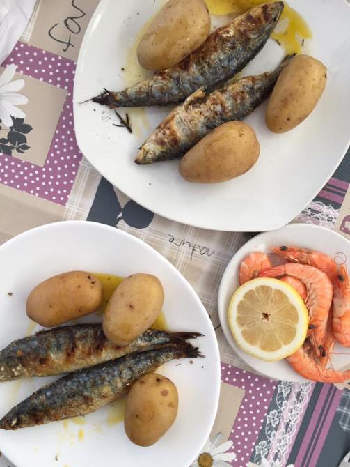 17759716_10210411444619837_5758737588719589948_n